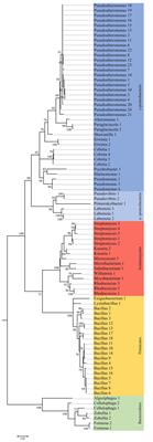 Bacterial–Fungal Interactions in the Kelp Endomicrobiota Drive Autoinducer-2 Quorum Sensing